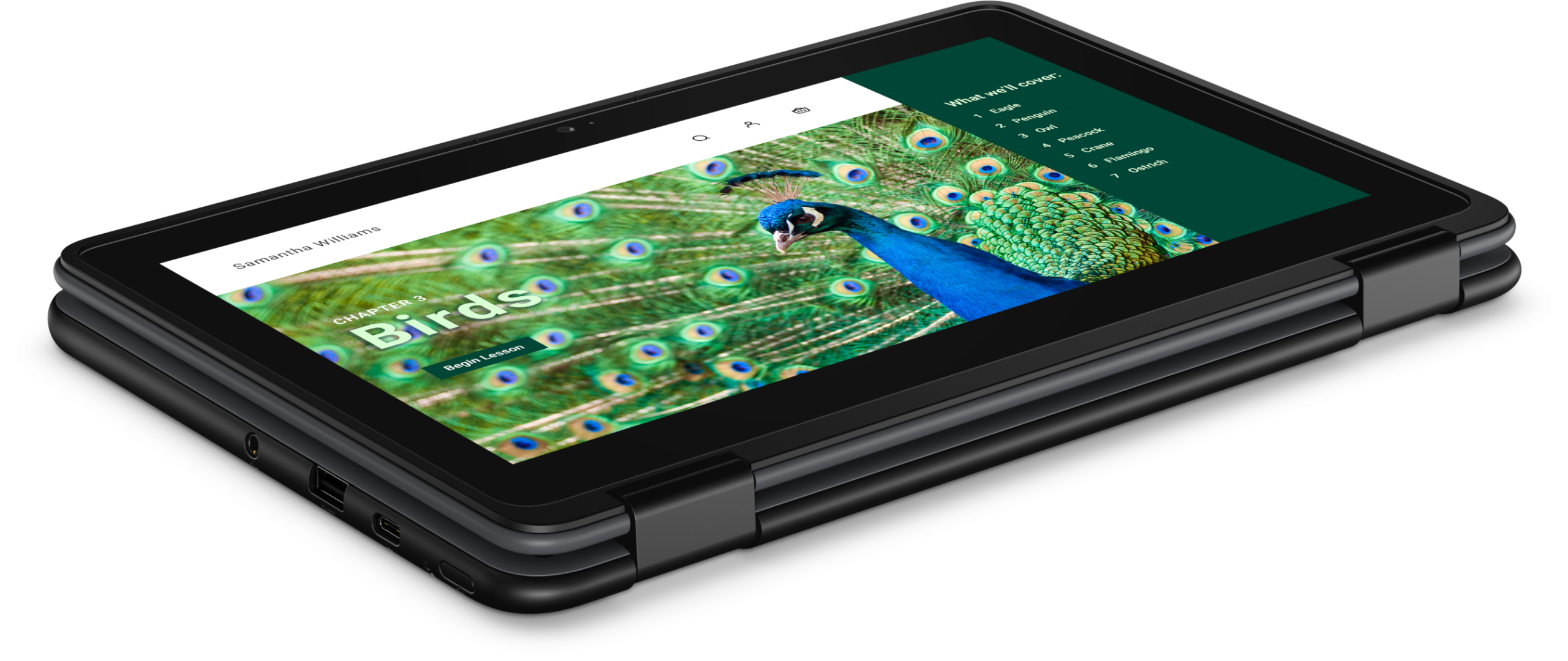 Chromebook 3120 Laptop or 2-in-1